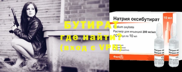 сатива Бородино