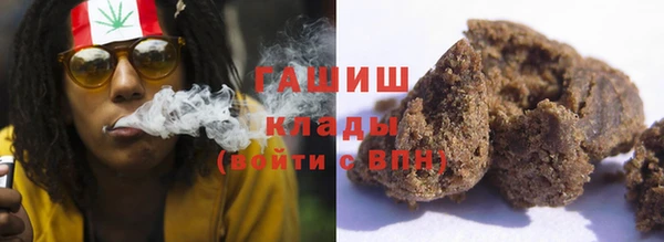 сатива Бородино