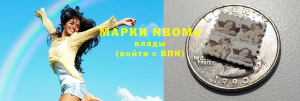 сатива Бородино