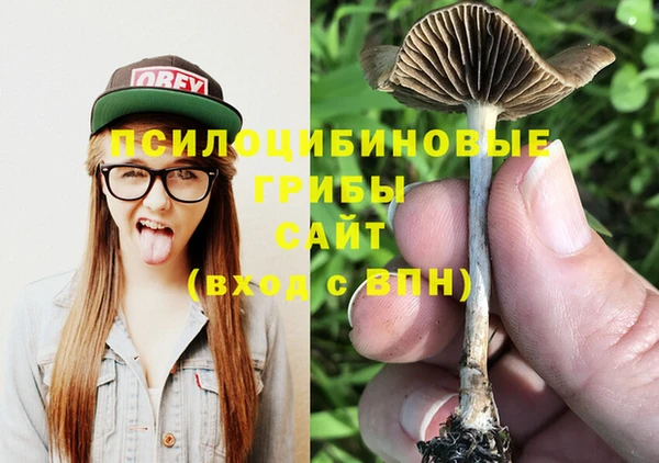 мдпв Бугульма