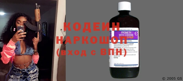 сатива Бородино
