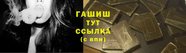 сатива Бородино