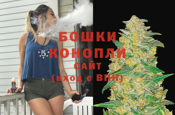 МДПВ Бронницы