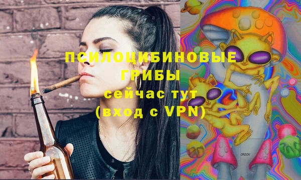 мдпв Бугульма