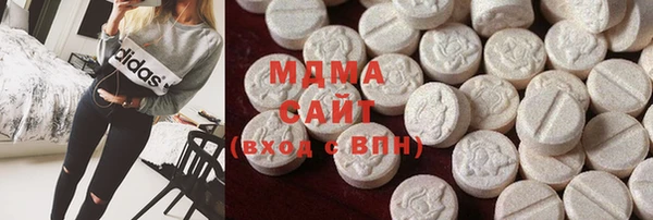сатива Бородино