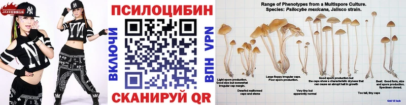 Купить  Ивантеевка  Галлюциногенные грибы мицелий 